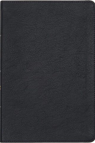 9781087774381 Large Print Thinline Bible