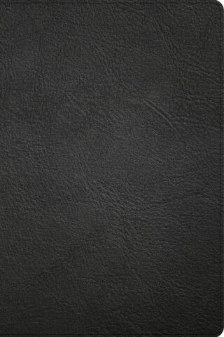 9781087774435 Large Print Thinline Bible