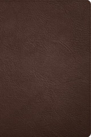9781087774442 Large Print Thinline Bible