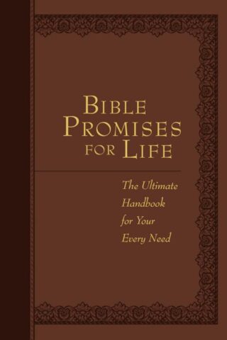 9781424550654 Bible Promises For Life