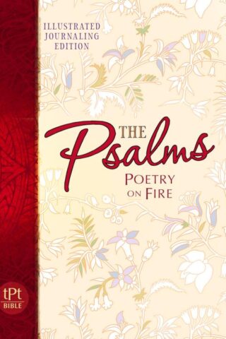 9781424553044 Psalms Poetry On Fire Illustrated Jounaling Edition