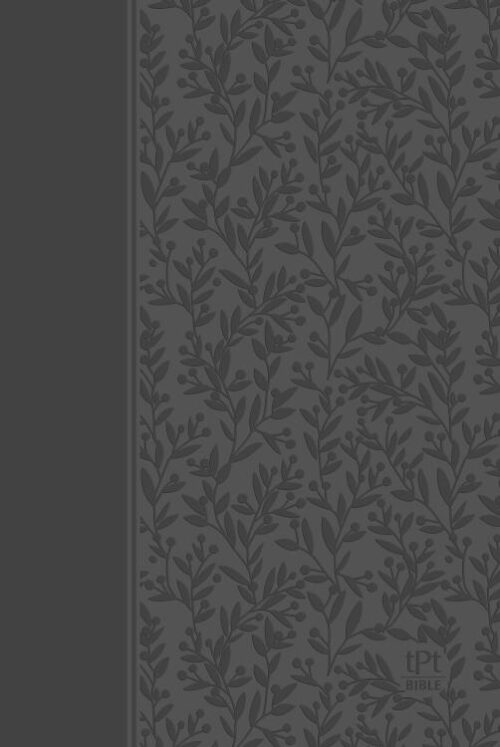 9781424561421 New Testament 2020 Edition With Psalms Proverbs And Song Of Songs