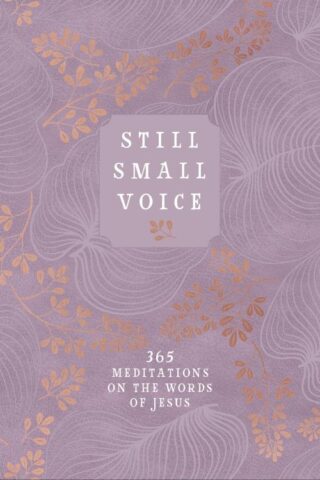 9781424565856 Still Small Voice
