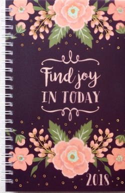 9781432118846 2018 Find Joy In Today Daily Planner