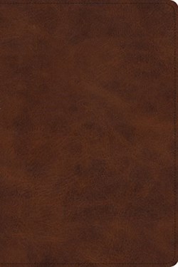 9781433554636 Story Of Redemption Bible