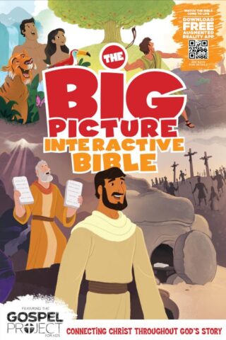 9781433605024 Big Picture Interactive Bible For Kids