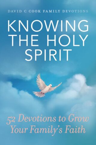 9781434712516 Knowing The Holy Spirit