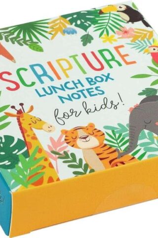 9781441335463 Scripture Lunch Box Notes For Kids