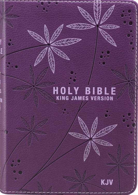 9781432102333 KJV Holy Bible