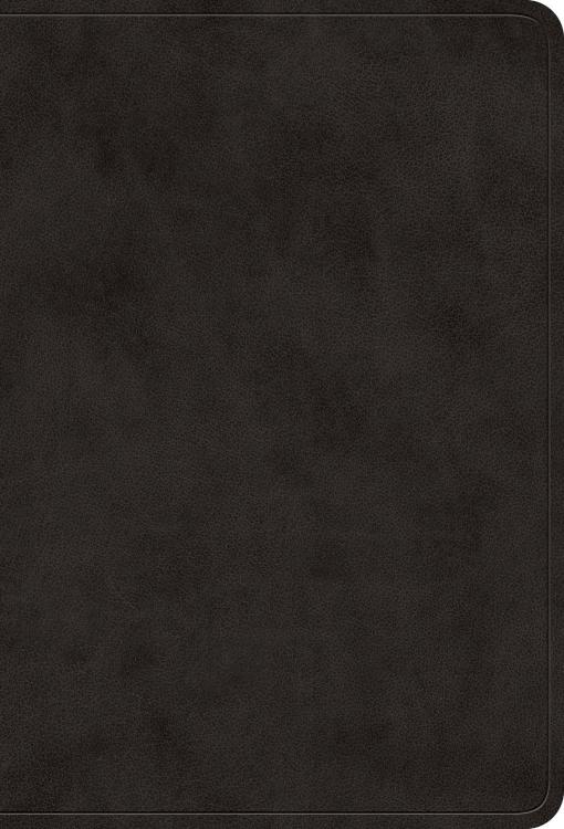 9798874903053 Value Large Print Compact Bible