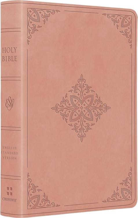 9798874903077 Value Large Print Compact Bible