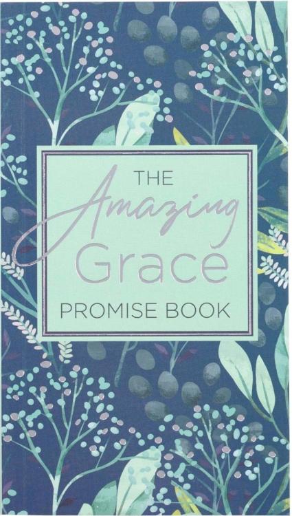 9781432130848 The Amazing Grace Promise Book in Green and Blue