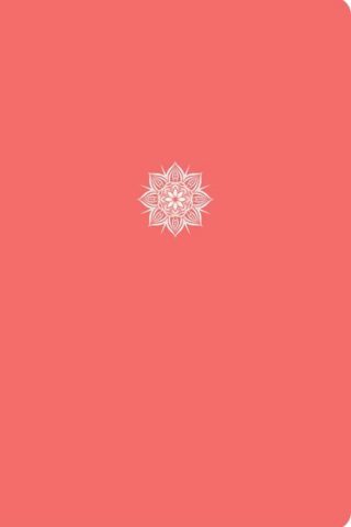 9781087756844 Everyday Study Bible