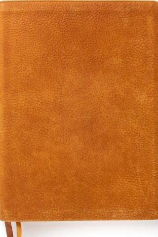 9781087757551 Lifeway Womens Bible