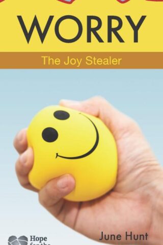 9781628629842 Worry : The Joy Stealer
