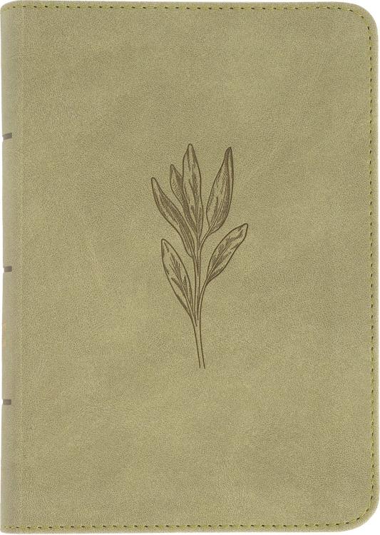 9798384509455 Large Print Compact Reference Bible