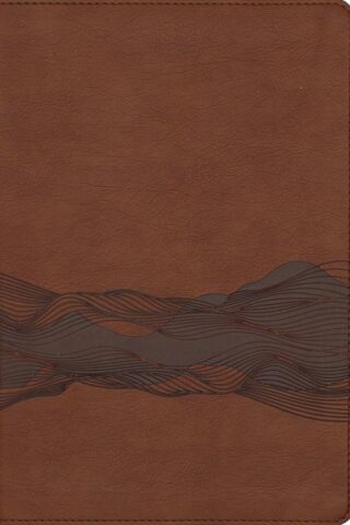 9780310467502 Timeline Bible Comfort Print