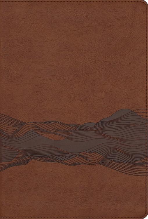 9780310467502 Timeline Bible Comfort Print