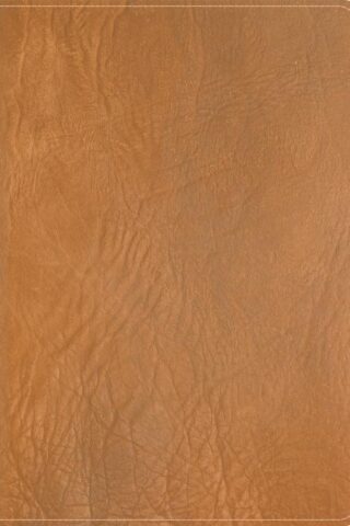 9798384533214 He Reads Truth Bible Holman Handcrafted Collection